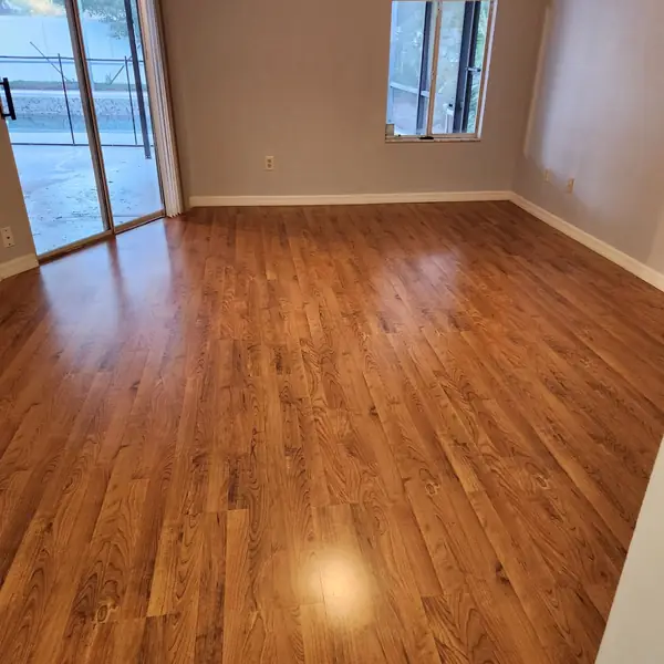 Amazing Clean Florida project photo 19