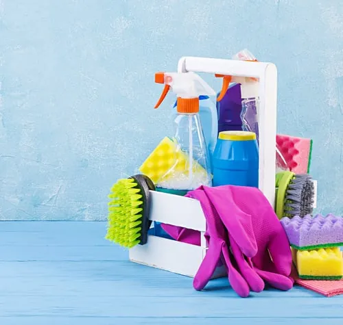 Recurring Cleaning